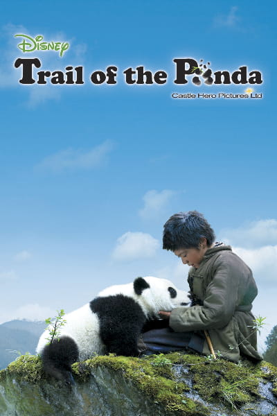 Trail of the Panda (Xiong mao hui jia lu)