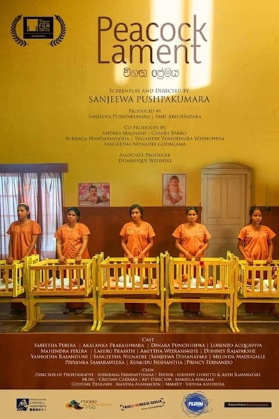 Peacock Lament