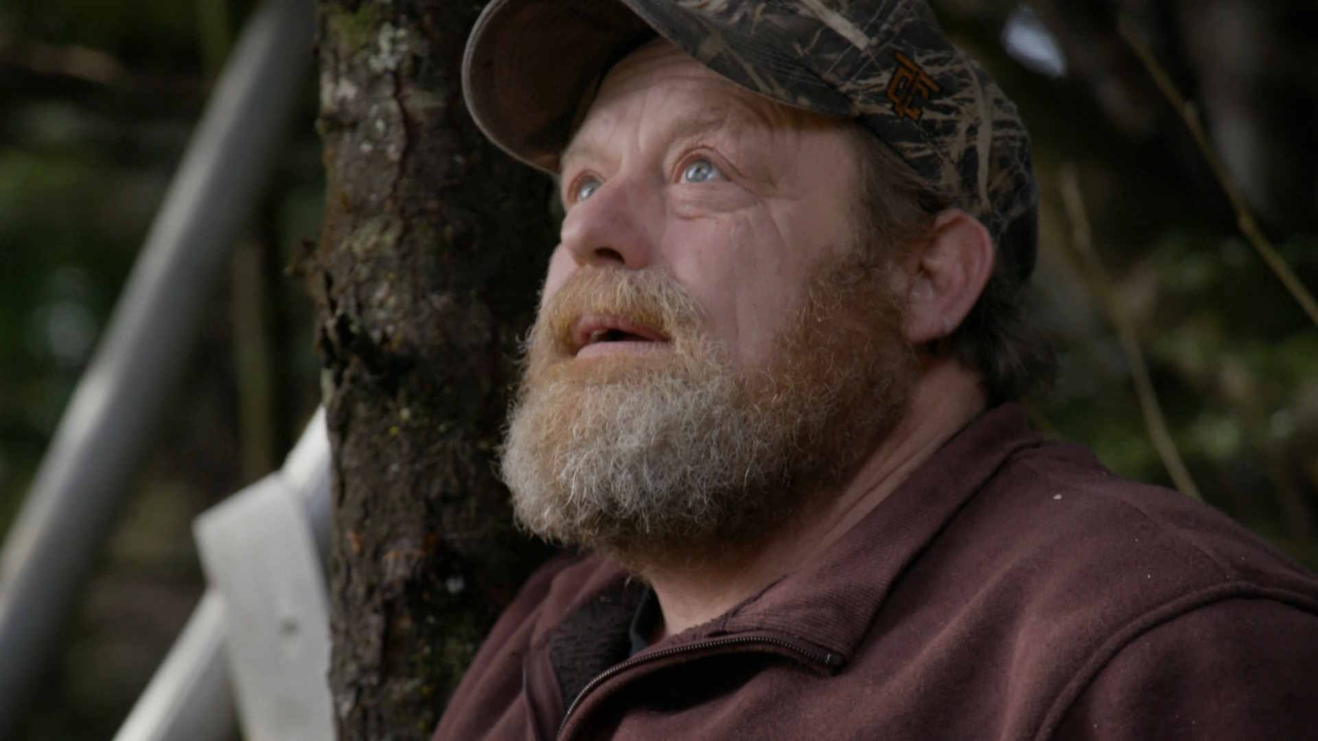 Season 7