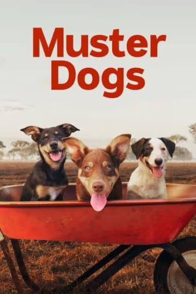 Muster Dogs - Season 4