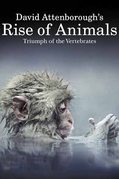 Rise of Animals Triumph of the Vertebrates - Season 1