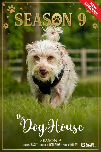 The Dog House - Season 9