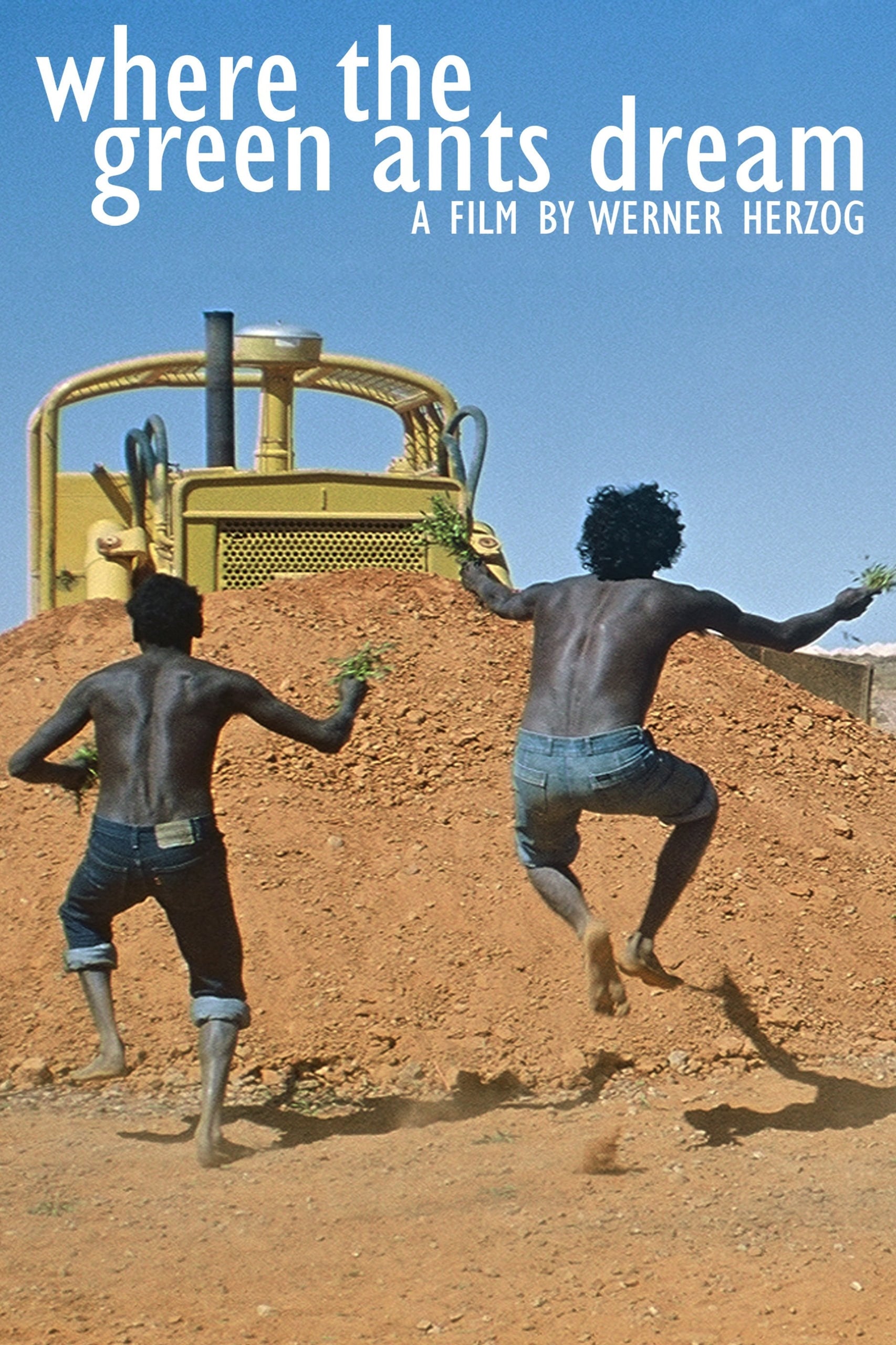 Wo die gr&uuml;nen Ameisen tr&auml;umen