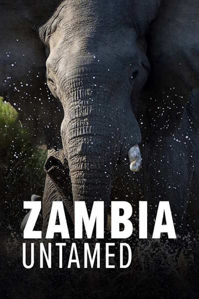 Zambia Untamed - Season 1