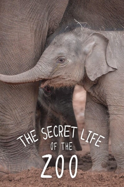 The Secret Life of The Zoo - Season 10