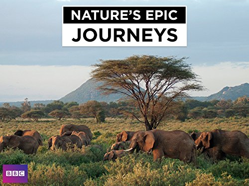 Natures Epic Journeys - Season 1
