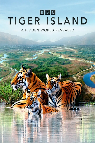 Tiger Island - Season 1