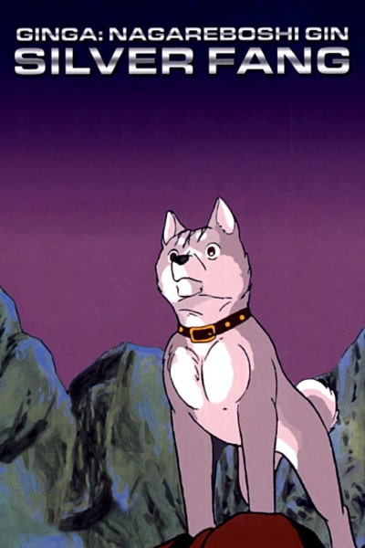 Silver Fang (Ginga: Nagareboshi gin) - Season 1 [Sub: Eng]