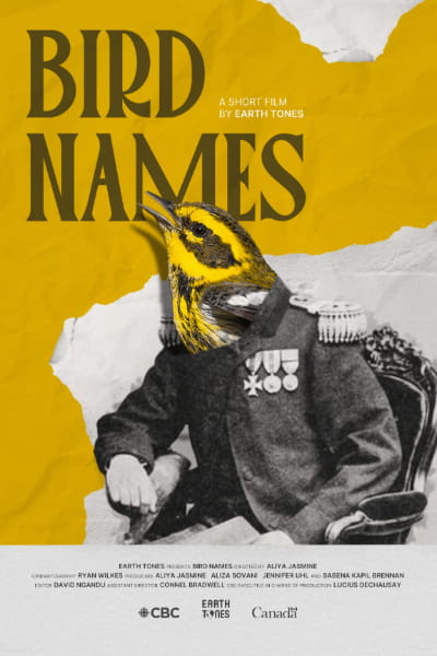 Bird Names