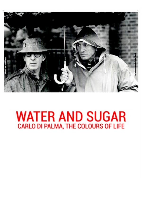 Acqua e zucchero: Carlo Di Palma, i colori della vita [Audio: Italian]