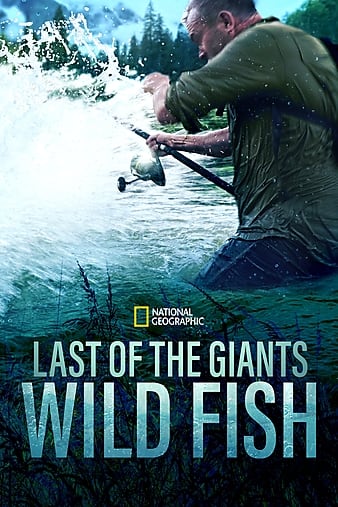 Last of the Giants: Wild Fish - Season 1