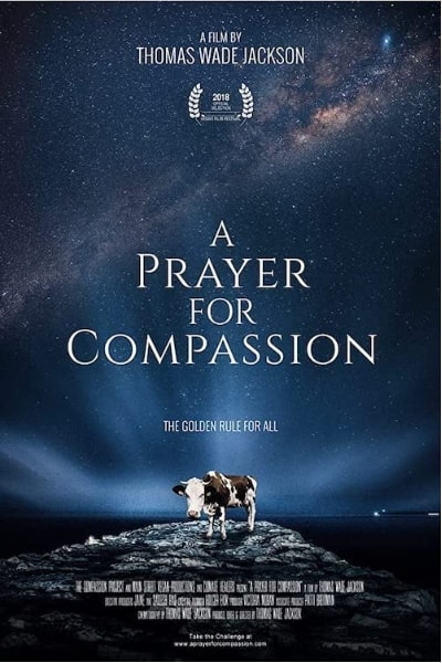 A Prayer for Compassion